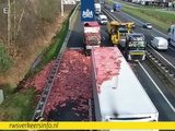 A67 bij Geldrop bezaaid met slachtafval