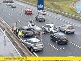 A1 dicht vanaf knooppunt Diemen naar Amersfoort na ongeval